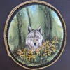 Aquarelle originale sur papier Arches tendu sur cadre naturel en noisetier. Loup sauvage qui regarde le spectateur. Renaud Prégaldiny aquarelliste lyonnais.