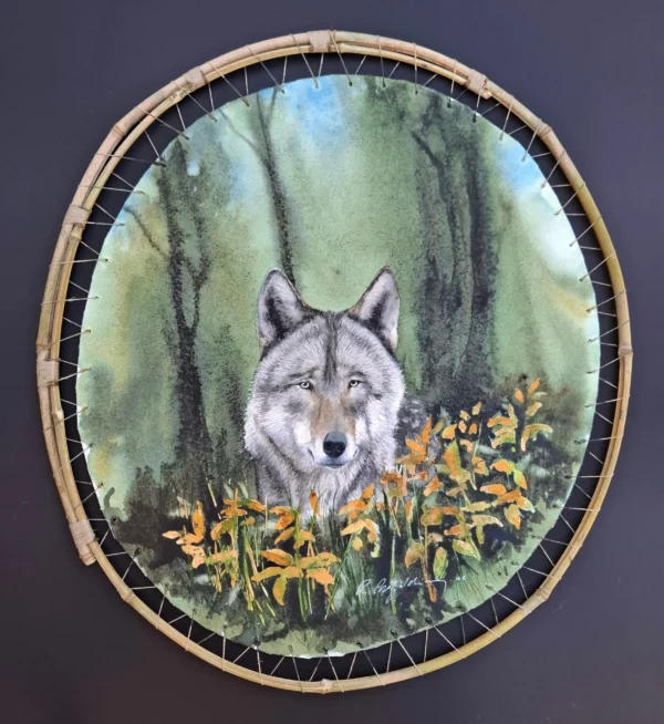 Aquarelle originale sur papier Arches tendu sur cadre naturel en noisetier. Loup sauvage qui regarde le spectateur. Renaud Prégaldiny aquarelliste lyonnais.