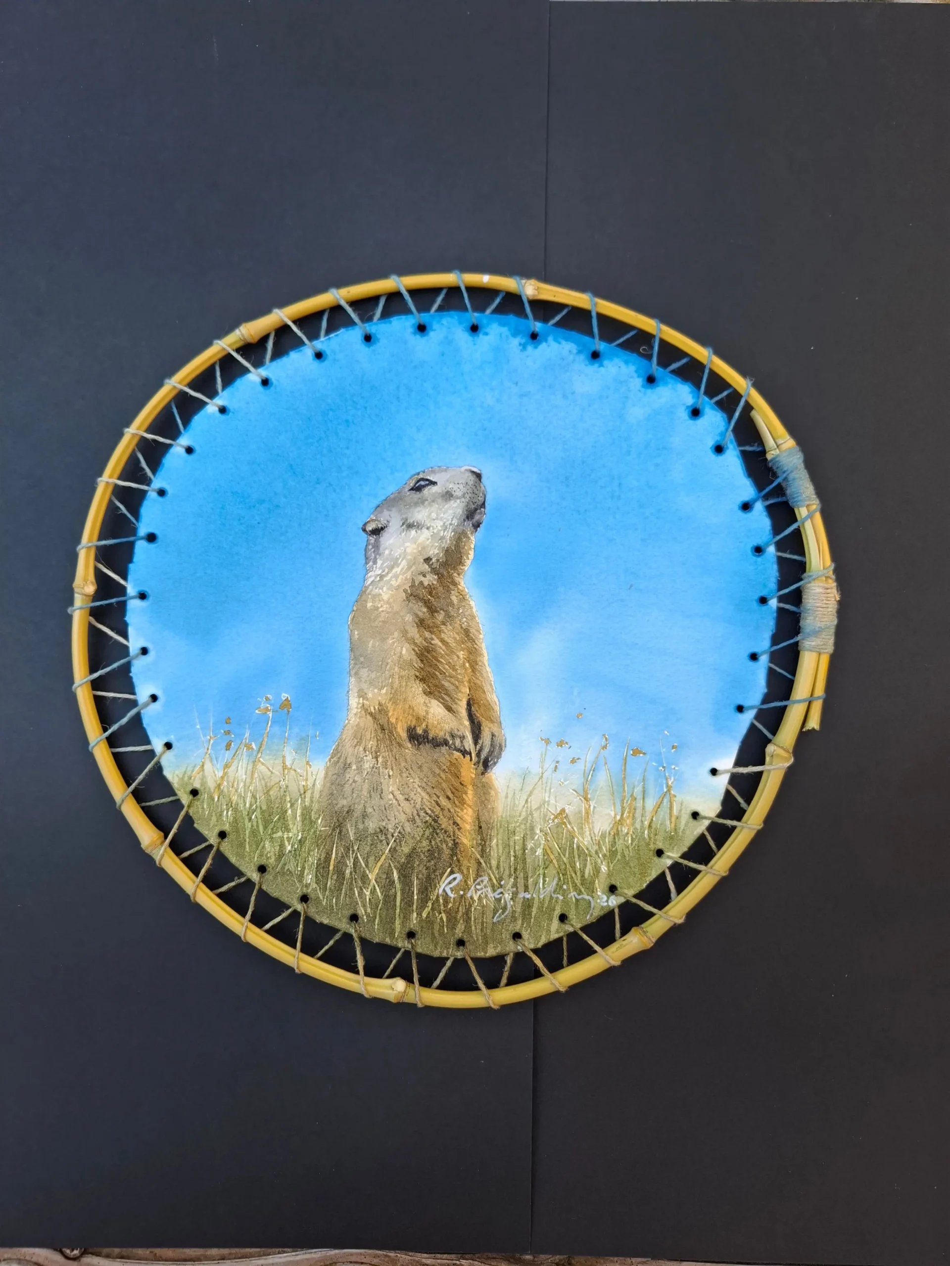 Aquarelle originale de Renaud Prégaldiny artiste peintre aquarelliste. Une marmotte veille sur son territoire en regardant le ciel. Aquarelle tendue sur cadre rond en baguette de bambou.