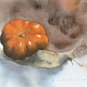 Aquarelle originale d'un être hybride fruit du mélange d'un escargot et d'une citrouille. Renaud Prégaldiny peintre aquarelliste Lyonnais à l'univers onirique et fantastique.