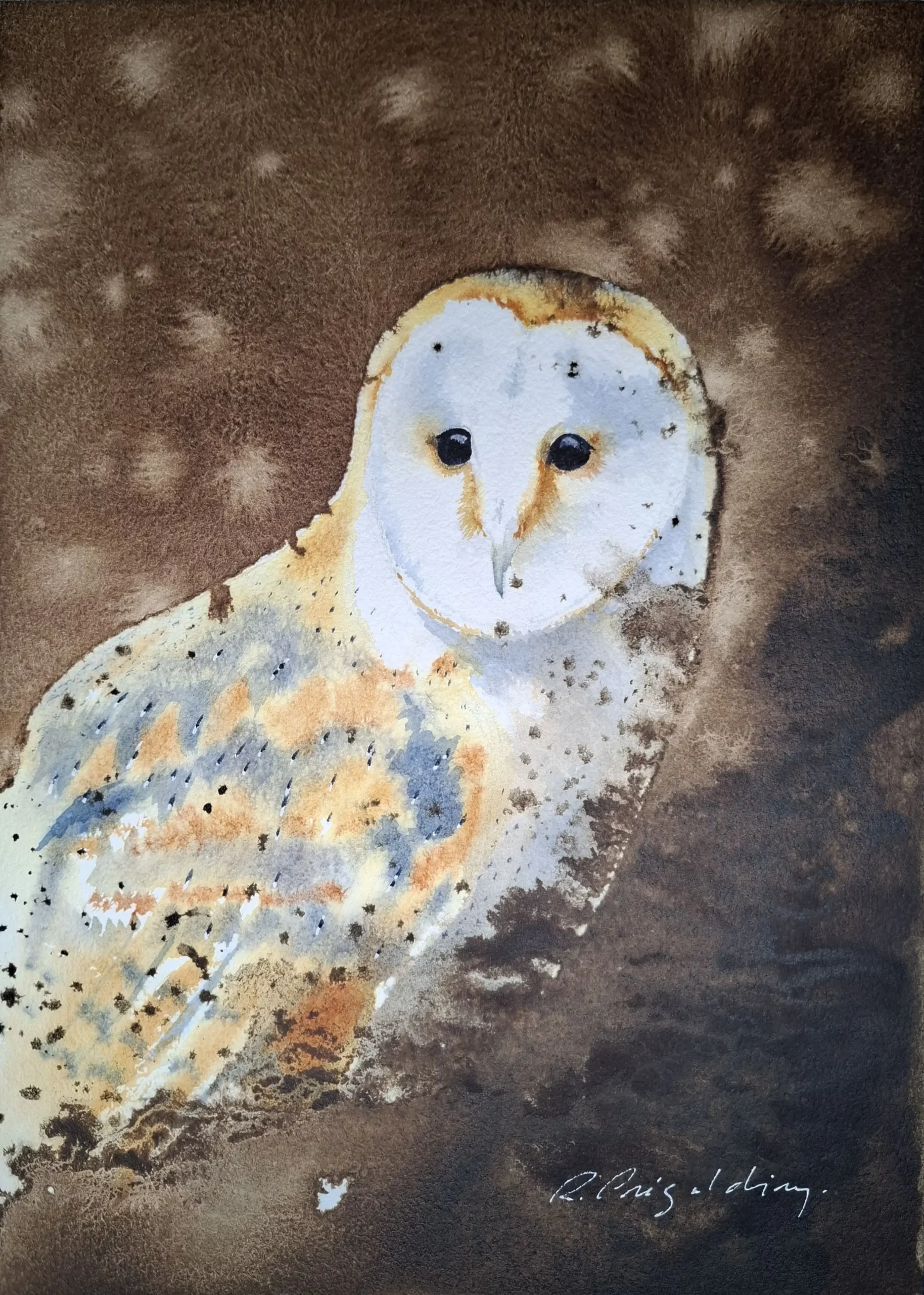 Aquarlle originale de Renaud Prégaldiny artiste peintre aquarelliste lyonnais. Une chouette effraie est peinte sur un fond de nuit chaleureux, son plumage doux et son visage blanc semblent éclairer la nuit.