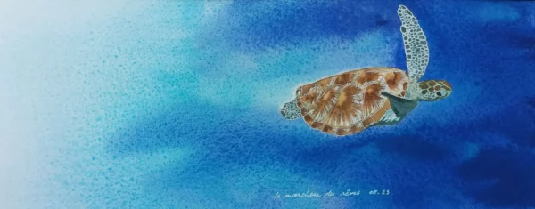 Aquarelle d'une tortue marine, la danseuse des abysses