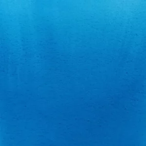 Aquarelle originale de Renaud Prégaldiny, artiste peintre aquarelliste français. Une baleine danse dans l'immensité de l'océan elle est peinte sur un fond bleu qui évoque la profondeur abyssale.