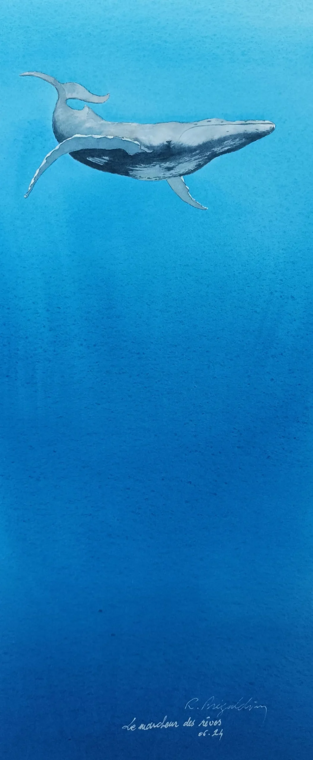 Aquarelle originale de Renaud Prégaldiny, artiste peintre aquarelliste français. Une baleine danse dans l'immensité de l'océan elle est peinte sur un fond bleu qui évoque la profondeur abyssale.