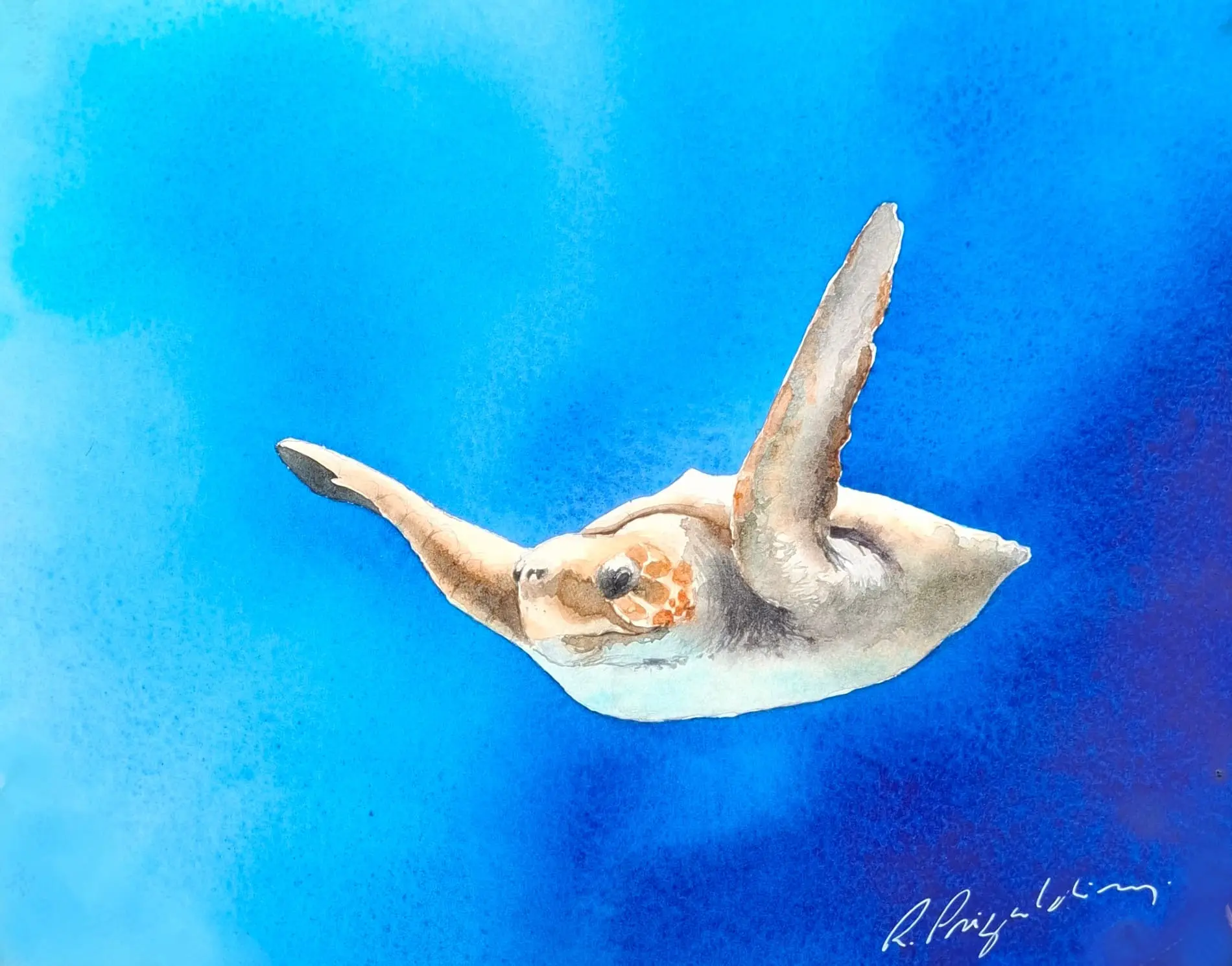 Aquarelle originale de Renaud Prégaldiny, peintre aquarelliste français. Tortue marine dansant dans l'océan bleu turquoise sous une lumière verticale du soleil éblouissante.
