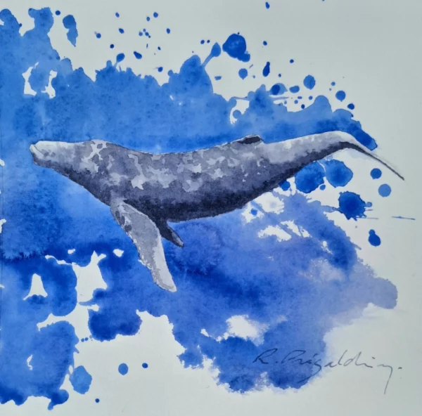 Aquarelle originale de Renaud Prégaldiny, artiste peintre aquarelliste Lyonnais. Baleineau jouant dans un océan d'éclaboussures bleues.