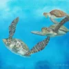 Aquarelle originale de Renaud Prégaldiny représentant trois tortues marine sur fond bleu. Nous sommes invités par les tortues dans leur ballet comme en apesanteur.