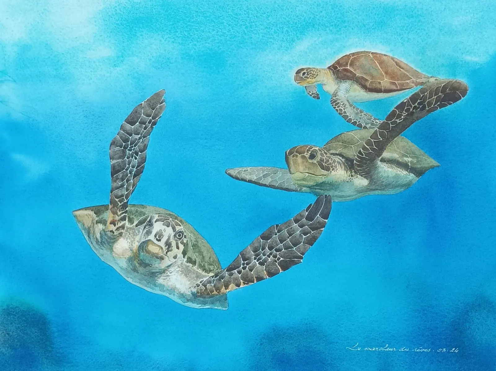 Aquarelle originale de Renaud Prégaldiny représentant trois tortues marine sur fond bleu. Nous sommes invités par les tortues dans leur ballet comme en apesanteur.